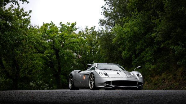 How Can You Ensure the Well-being of Your UK Pet During Seasonal Changes?